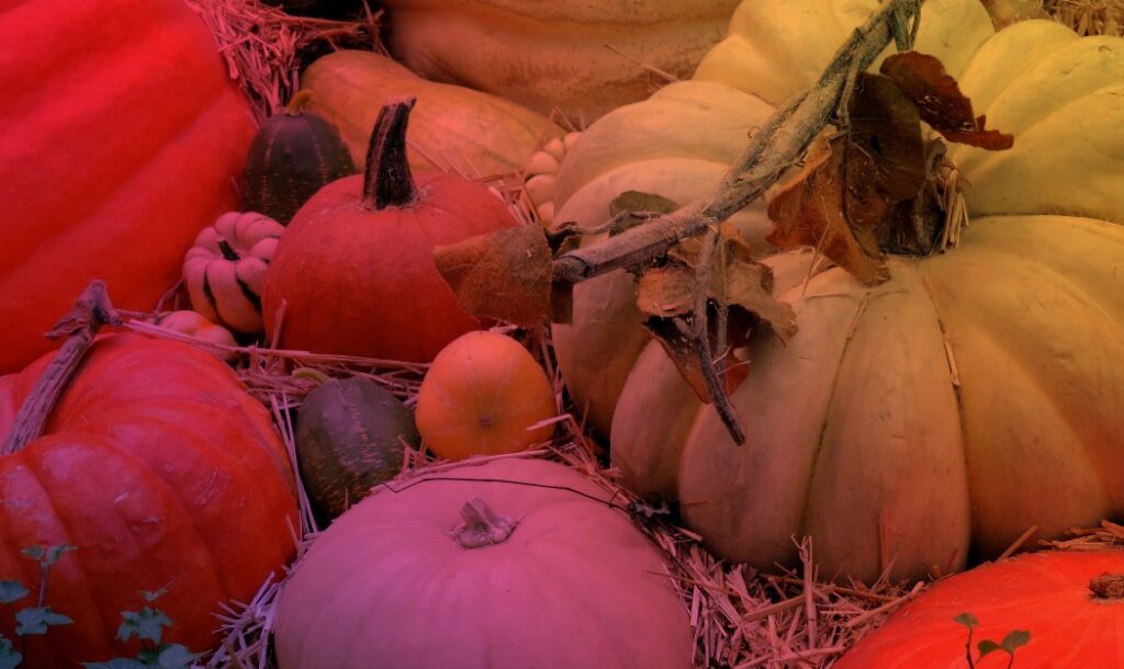 Promote Employee Wellness With A Healthy Halloween to encourage healthy habits