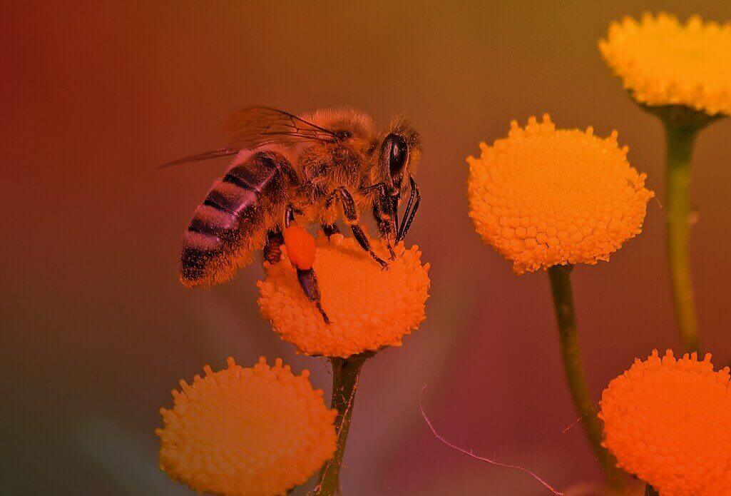 15 Funny Award Names (1) (1) (1)